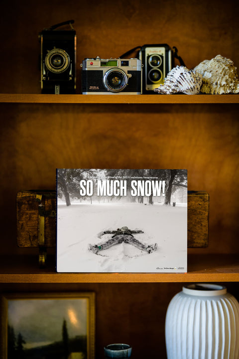 So Much Snow! A Joyous Celebration of the 2025 Louisiana Snowstorm