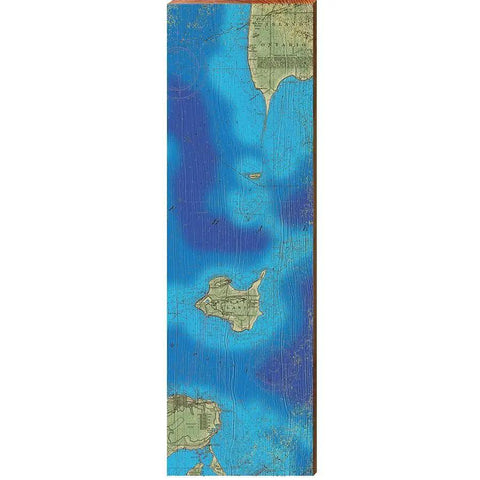 Erie Lake Island-B Map Home Decor Art Print on Real Wood Wood Sign Mill Wood Art 9.5" x 30"  