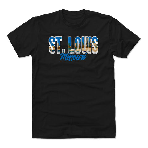 St. Louis Missouri City Font WHT