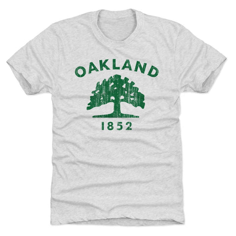 Oakland California Flag