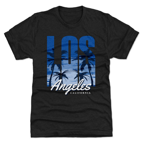 Los Angeles California Ocean WHT