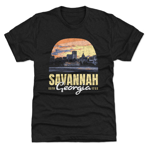Savannah Georgia Scenic WHT