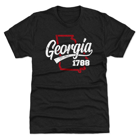 Georgia Established 1788 WHT