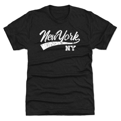 New York New York City Script WHT
