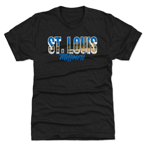 St. Louis Missouri City Font WHT