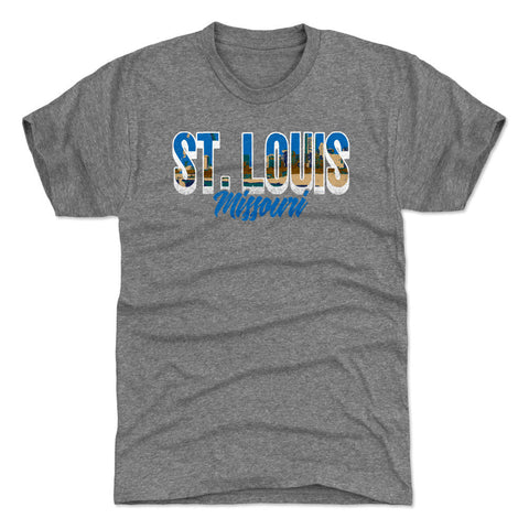 St. Louis Missouri City Font WHT