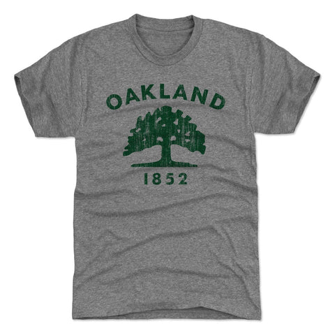 Oakland California Flag