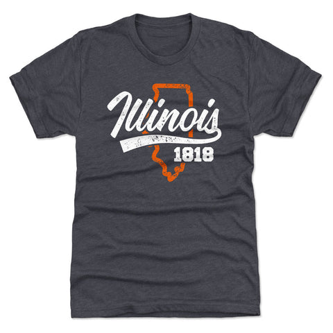 Illinois State Map Script WHT