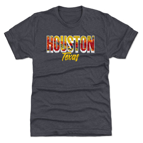 Houston Texas City Font WHT