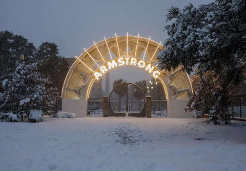 So Much Snow! A Joyous Celebration of the 2025 Louisiana Snowstorm