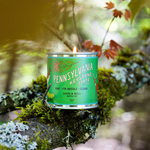 Pennsylvania State Candle – Woodsy Candles Blend | Pine Scented Candle, Fir Needle Fragrance