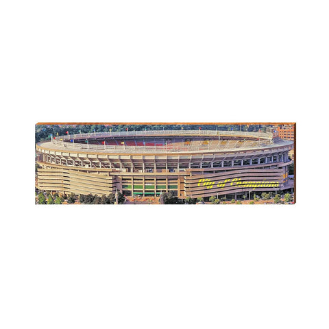 Three Rivers Stadium | City of Champions | Pittsburgh | Wall Art Print on Real Wood Wood Sign Mill Wood Art   