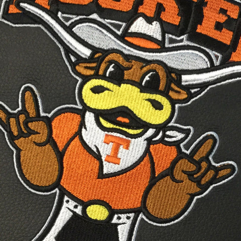 Logo Panel with Texas Longhorns Alternate