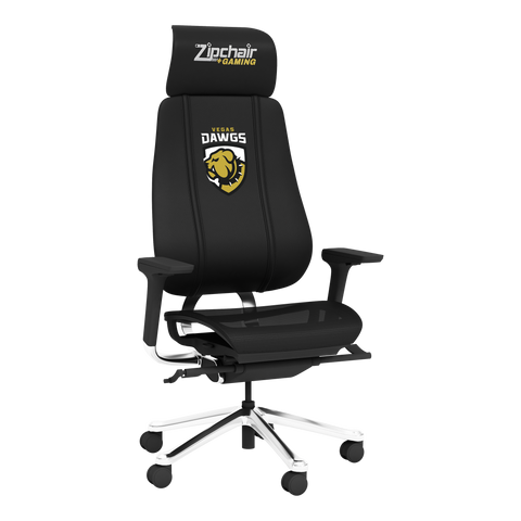Phantomx Mesh Gaming Chair with Vegas Dawgs Logo