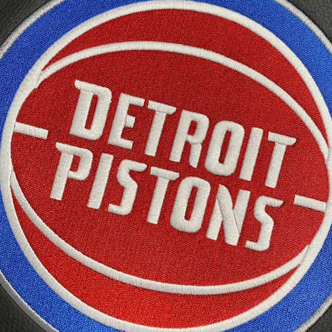 Detroit Pistons Logo Panel