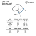 University of Pittsburgh Pet Team Lead Pet Leash Little Earth Productions   