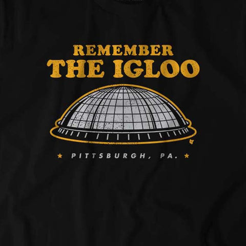 Remember the Igloo Hoodie Hoodie BreakingT   