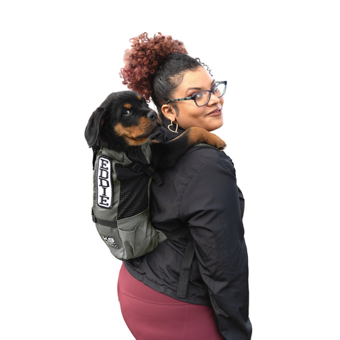 Trainer | Puppy & Small Dog Carrier