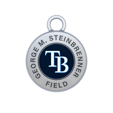 MLB Stadium Tokens – Handcrafted Enamel Baseball Collectibles | Official Souvenir Coins