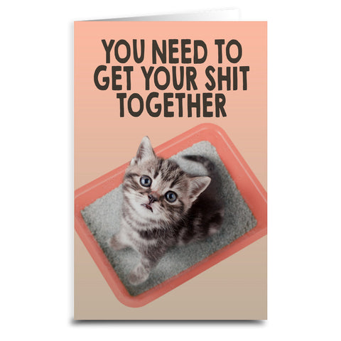 You Need to Get Your Sh-t Together Cat Greeting Card