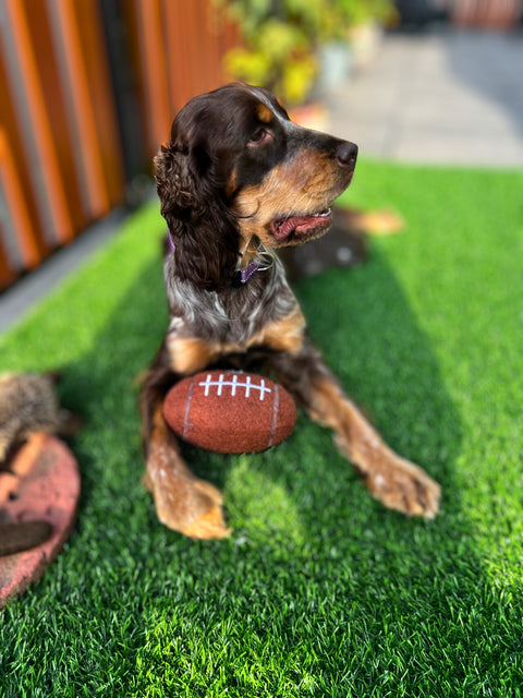 Pittsburgh Steelers Tough Chewer Dog Football Toy - Officially Licensed