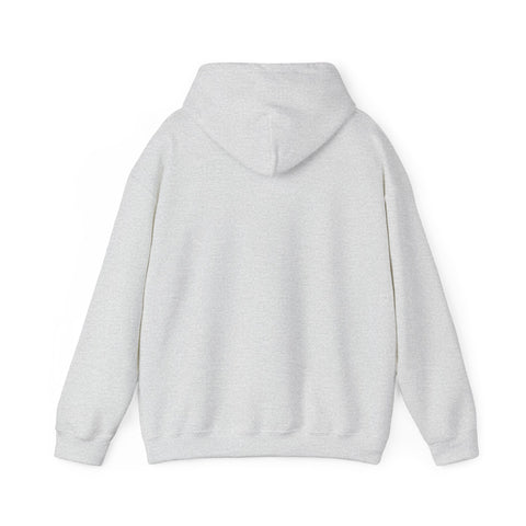 All Weather Football Fan Hoodie Hoodie - YinzerShop