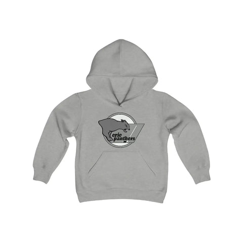 Erie Panthers Hoodie (Youth)  Vintage Ice Hockey Sport Grey S 