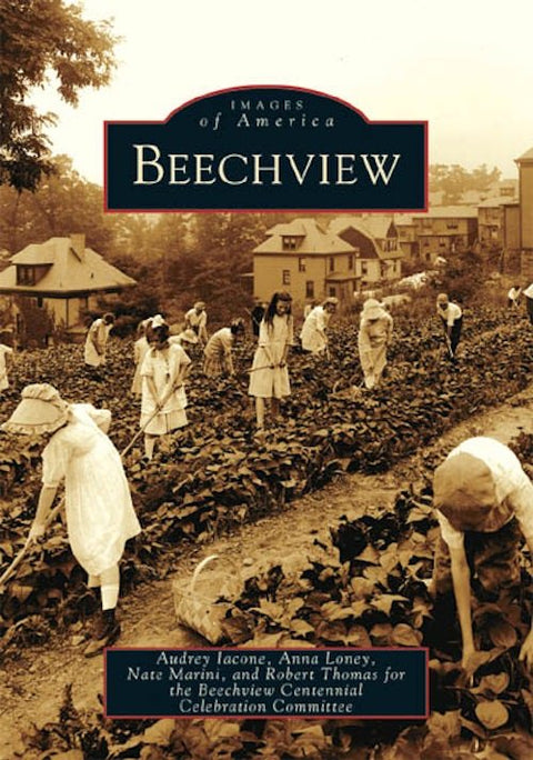 Beechview Pittsburgh - Historic Ridge Neighborhood & Urban Escape Community Book Book - YinzerShop