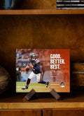 Ben Johnson Chicago Bears Book – NFL Team History & Bears NFC Champs Story 2026 Release Book - YinzerShop