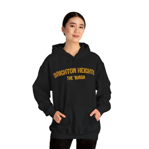 Brighton Heights - The 'Burgh Neighborhood Series - Unisex Heavy Blend™ Hooded Sweatshirt Hoodie - YinzerShop