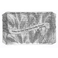 Butler Tray - Wendell August Forge Small Serving Tray With Engraved Daily Bread Design Tray - YinzerShop