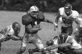 Crawford County in Western PA: Sports History Highlights by Meadville Tribune Book - YinzerShop