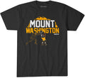 Darnell Washington: Mount Washington Pittsburgh Steelers-Pro Football - YinzerShop