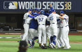 Dodgers 2020 World Series Hardcover Book – Los Angeles Dodgers Championship Story Book - YinzerShop