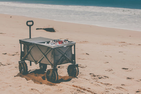 Penn State Nittany Lions - Adventure Wagon Elite All-Terrain Portable Utility Wagon  Picnic Time Family of Brands   