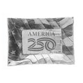 Expressions Patriotic Inspiration Tray (America250 Edition) - YinzerShop