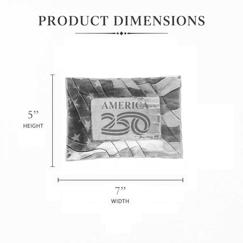 Expressions Patriotic Inspiration Tray (America250 Edition) - YinzerShop