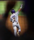 Great Eight: The story of LSU Baseball's eighth national championship Book - YinzerShop