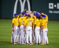 Great Eight: The story of LSU Baseball's eighth national championship Book - YinzerShop