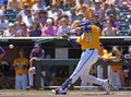 Great Eight: The story of LSU Baseball's eighth national championship Book - YinzerShop