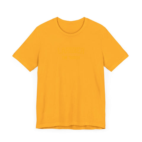 Larimer - The Burgh Neighborhood Series - Unisex Jersey Short Sleeve Tee T-Shirt - YinzerShop