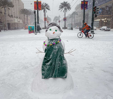 Louisiana Snowstorm Book – 2025 Winter Wonderland Hardcover Coffee Table Edition Book - YinzerShop