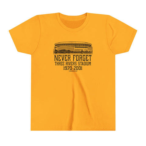Never Forget Pittsburgh Three River Stadium - Youth Short Sleeve Tee Kids Apparel - YinzerShop