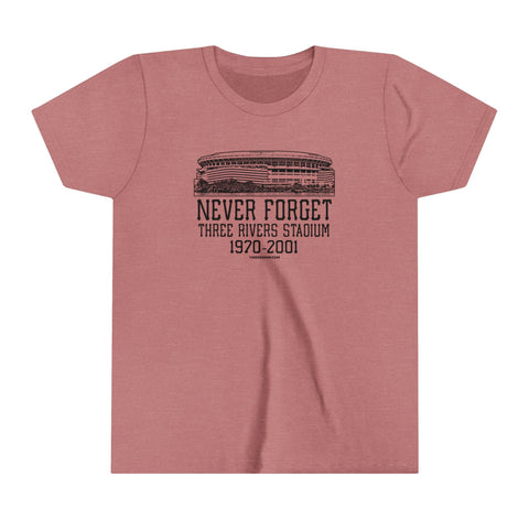 Never Forget Pittsburgh Three River Stadium - Youth Short Sleeve Tee Kids Apparel - YinzerShop