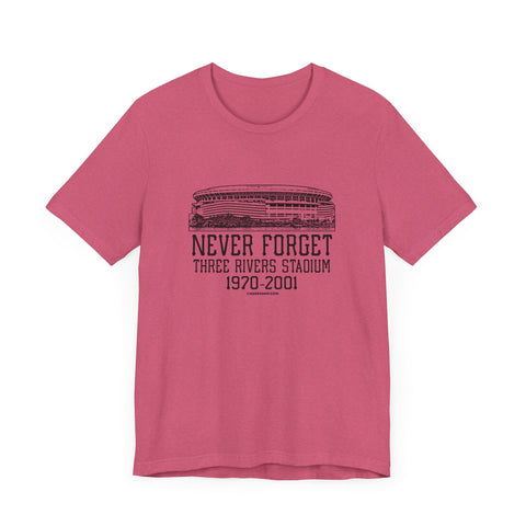 Never Forget: Three Rivers Stadium Retro Tribute T-Shirt T-Shirt - YinzerShop