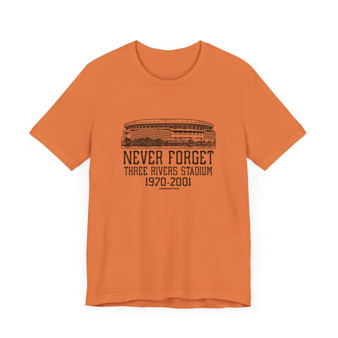 Never Forget: Three Rivers Stadium Retro Tribute T-Shirt T-Shirt - YinzerShop