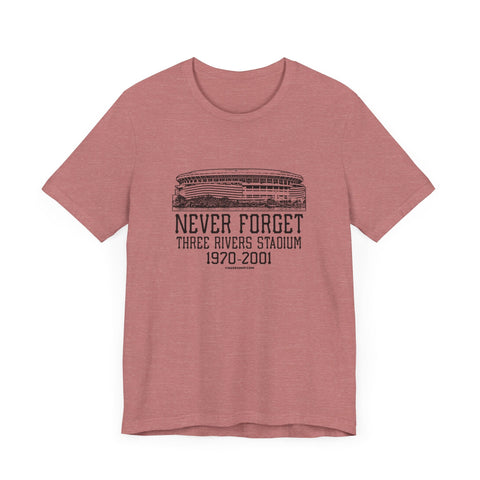Never Forget: Three Rivers Stadium Retro Tribute T-Shirt T-Shirt - YinzerShop