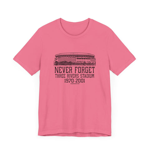 Never Forget: Three Rivers Stadium Retro Tribute T-Shirt T-Shirt - YinzerShop