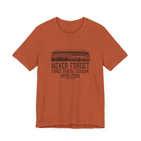 Never Forget: Three Rivers Stadium Retro Tribute T-Shirt T-Shirt - YinzerShop