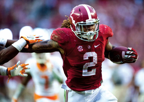 Nick Saban Book – Alabama Football Biography & National Championship Stories Hardcover POD Book - YinzerShop